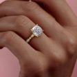 The Jasmine Set With A 1 Carat Cushion Lab Diamond For Cheap